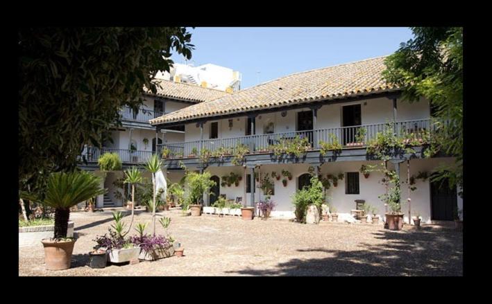 Apartamento En Monumento Historico Nacional Corral Del Conde-Duque De Olivares Sevilla Bagian luar foto