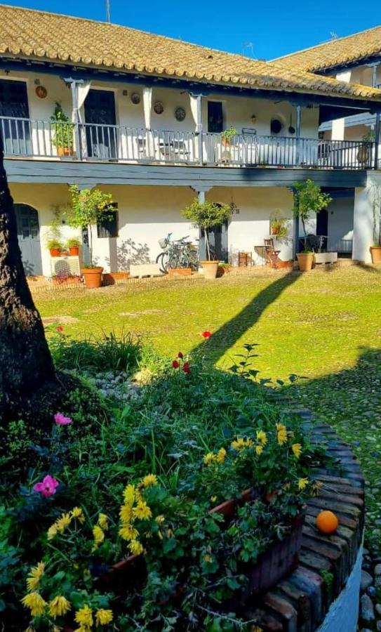 Apartamento En Monumento Historico Nacional Corral Del Conde-Duque De Olivares Sevilla Bagian luar foto